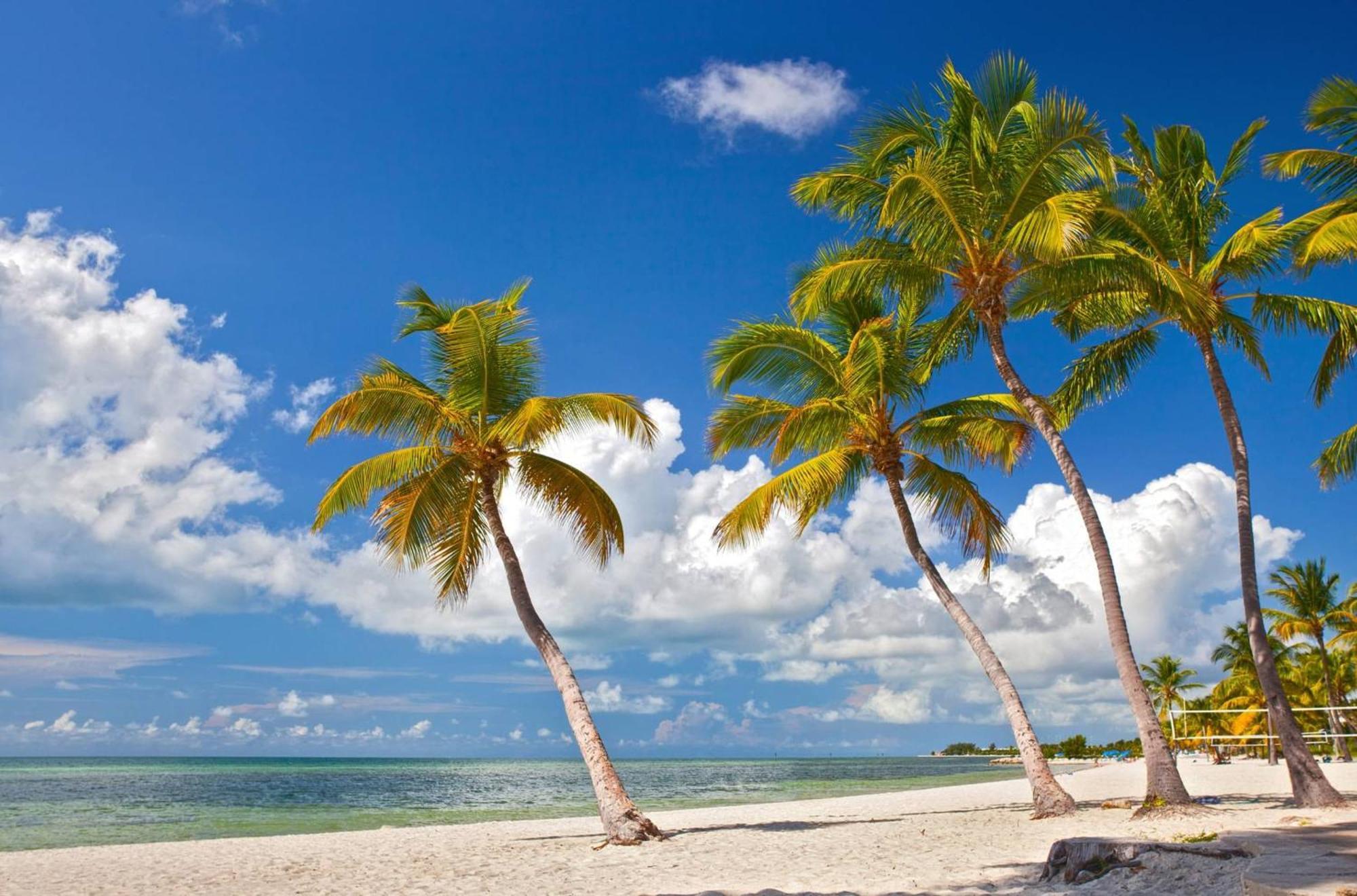 Casa Grande By Avantstay Dt Key West Near South Beach W Pool Eksteriør billede
